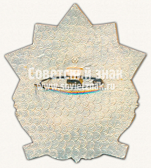 РЕВЕРС: Знак «Ветеран 51 армии. Сапун-гора» № 10079а