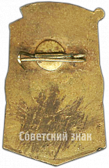РЕВЕРС: Знак «Почетный член федерации футбола СССР» № 4504а