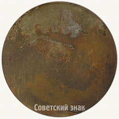 РЕВЕРС: Настольная медаль «70 лет со дня рождения И.В. Сталина» № 6482а