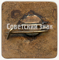 РЕВЕРС: Знак «Спасательный отряд» № 8457а