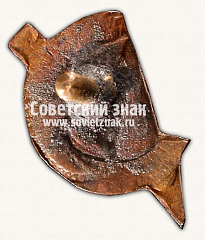 РЕВЕРС: Знак «Спортивное общество работников энергетики. Тип 4» № 14335а