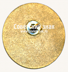 РЕВЕРС: Знак «Северо-западные тоннели. 2007» № 17522а