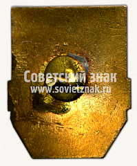 РЕВЕРС: Знак «Дружинник» № 9378в