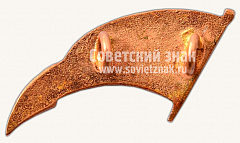 РЕВЕРС: Членский знак ДСО «Даугава». Тип 2 № 10588а