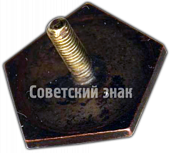 РЕВЕРС: Знак «Гимнастические соревнования школьников СССР. 1938» № 4577а