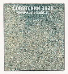 РЕВЕРС: Плакета «60 лет Советской армии. 1918-1978» № 13573а