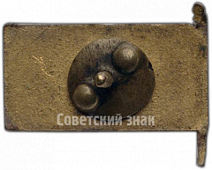 РЕВЕРС: Знак «Траурный знак с изображением Мавзолея. В.И.Ленин (1970-1924)» № 4634б