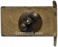 РЕВЕРС: Траурный знак с изображением Мавзолея. В.И.Ленин (1970-1924) № 4634б