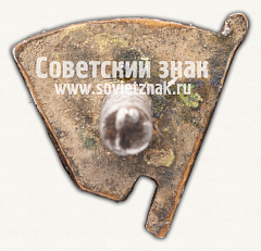 РЕВЕРС: Знак «КИМ (Коммунистический Интернационал Молодежи). Тип 2» № 12504а