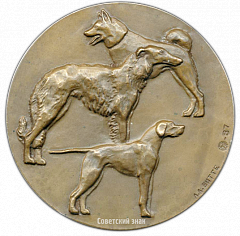 РЕВЕРС: Настольная медаль «VI всероссийская выставка охотничьих собак» № 2792а