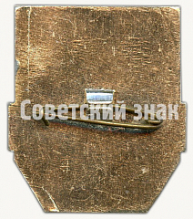 РЕВЕРС: Знак «Дружинник (Malevlane)» № 8469в