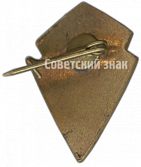РЕВЕРС: Призовой знак «Юный Динамовец». Чемпион № 4574а