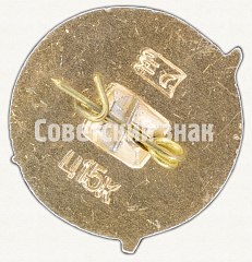 РЕВЕРС: Памятный знак посвященный СССР № 9291а