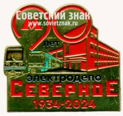 Знак «90 лет электродепо «Северное» 1934-2024. Профсоюз»