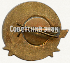 РЕВЕРС: Знак «25 лет северному флоту ВМФ (1933-1958)» № 8463а