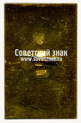 РЕВЕРС: Знак «В честь 50-летия города Кировск. 1931-1981» № 11028а