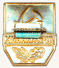 РЕВЕРС: Знак «Дружинник. Тип 2» № 10005а