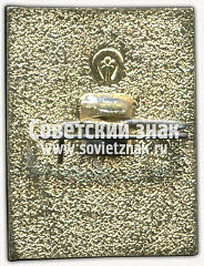 РЕВЕРС: Знак «Пионерский лагерь «Березка»» № 12038а