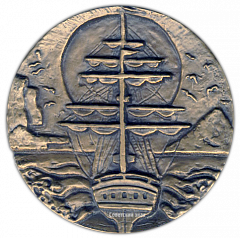 Настольная медаль «200 лет со дня рождения В.М.Головнина»