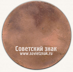 РЕВЕРС: Настольная медаль «Ярославль основан в 1010 году» № 13062а