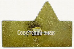 РЕВЕРС: Знак «Санитарный инструктор студенческого отряда» № 9327а