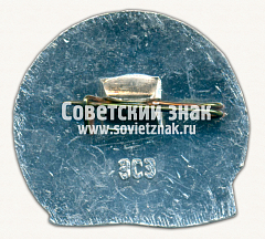 РЕВЕРС: Знак «Соловки. Соловецкие острова. Тип 2» № 15245а