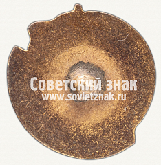 РЕВЕРС: Памятный знак товарищеского матча сборных Турции и Ленинграда. 1936 № 4047а