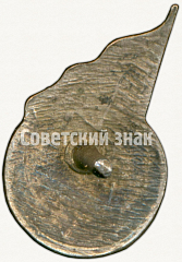 РЕВЕРС: Знак «Членский знак ДСО «Большевик». Тип 1» № 5307б