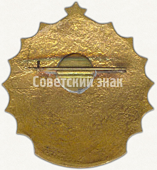 РЕВЕРС: Знак чемпиона юношеской спортивной школы (ЮСШ) Бурят-Монгольской Автономной ССР (БМАССР). Лыжные гонки № 5165а