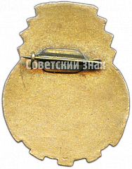 РЕВЕРС: Знак «Чемпион Калининского района Москвы» № 4476а