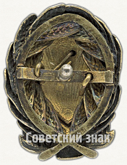 РЕВЕРС: Отличительный знак командного состава РКМ РСФСР № 9729а