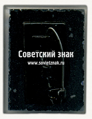 РЕВЕРС: Знак «Уральский лесотехнический институт (УЛТИ)» № 16727а