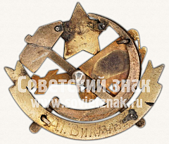 РЕВЕРС: Знак «Общество друзей воздушного флота (ОДВФ). Северо-Западной области» № 474е