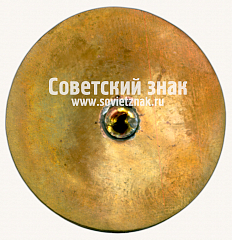 РЕВЕРС: Знак «50 лет электродепо «Выхино»» № 17439а