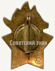 РЕВЕРС: Знак пионерского лагеря «Орлёнок» № 6967а