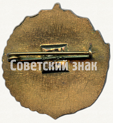 РЕВЕРС: Знак «Киев. Футбольный клуб «Динамо»» № 9137а