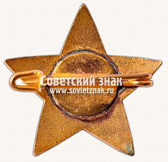РЕВЕРС: Знак в виде звезды с изображением серпа и молота № 13969а