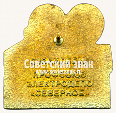 РЕВЕРС: Знак «90 лет электродепо «Северное» 1934-2024. Профсоюз» № 17425а