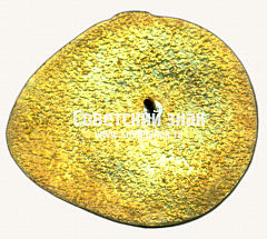 РЕВЕРС: Знак «10 лет электродепо «Печатники»» № 17469а