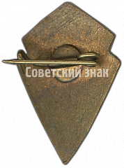 РЕВЕРС: Знак «Призовой знак «Юный Динамовец». II место» № 4573а