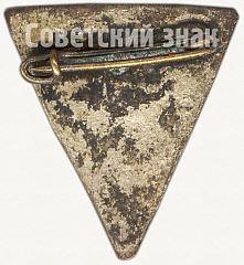 РЕВЕРС: Членский знак ДСО «Электрик» № 5252а