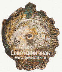 РЕВЕРС: Знак «Отличный механик совхоза. НКПП СССР» № 1226б