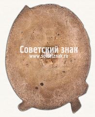 РЕВЕРС: ﻿Знак в честь 10-летия Октябрьской революции № 17780а