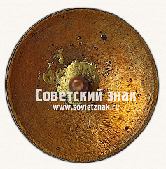 РЕВЕРС: Знак «Коллегия судей по спорту. I категория» № 16916в