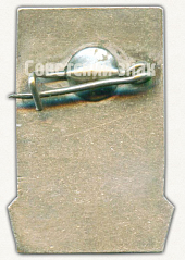 РЕВЕРС: Знак в память 60-летия Центрального аэрогидродинамического института (ЦАГИ). 1918-1978 № 9599а