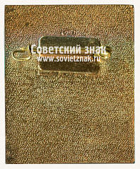 РЕВЕРС: Знак «IX конгресс МКИД ICID (Международная комиссия по ирригации и дренажу). Москва. 1975» № 12170а