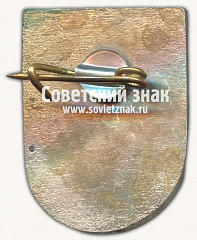 РЕВЕРС: Знак «Мадона (Madona). Мадонский край. Латвийская ССР» № 17403а