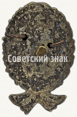 РЕВЕРС: Знак командира Рабоче-крестьянской Красной Армии. Тип 13 № 9725а