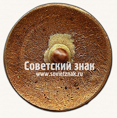 РЕВЕРС: Знак «Республиканская коллегия судей по спорту» № 9757в