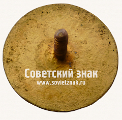 РЕВЕРС: Знак «Республиканская коллегия судей по спорту Грузинской ССР» № 16918а